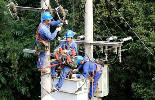 國網宜賓供電公司完成1.3億元農網投資 筑牢鄉村振興電力根基