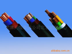 電力電纜技術(shù)專家劉國強(qiáng)的專業(yè)貢獻(xiàn)與行業(yè)影響